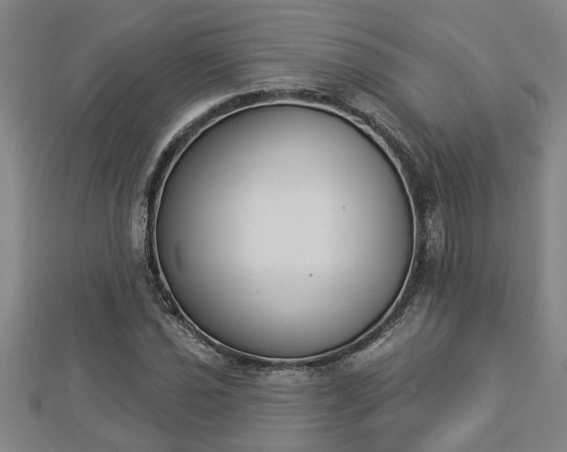 X0000112861021200908281559