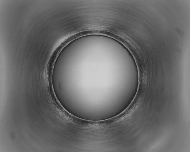 X0000112861022200908281559