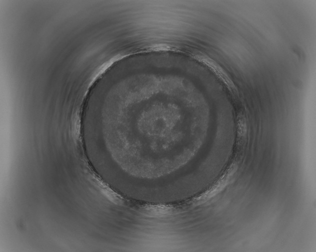 X0000112861023200908281559