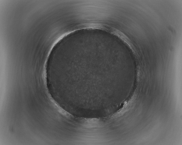 X0000112861024200908281559