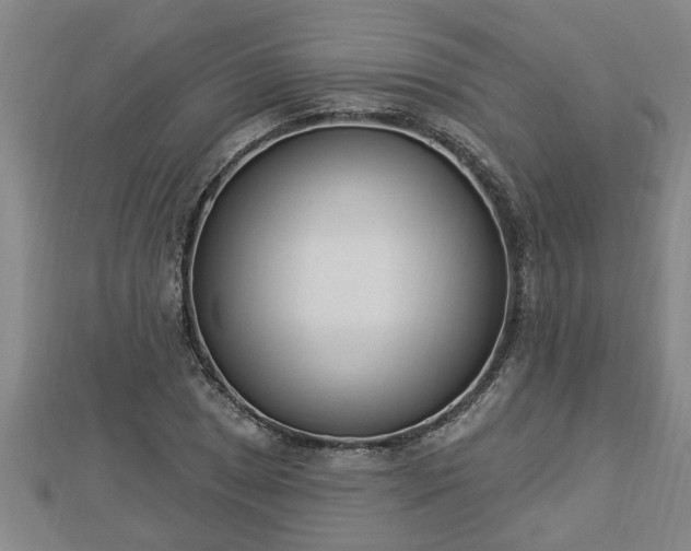 X0000112861025200908281559