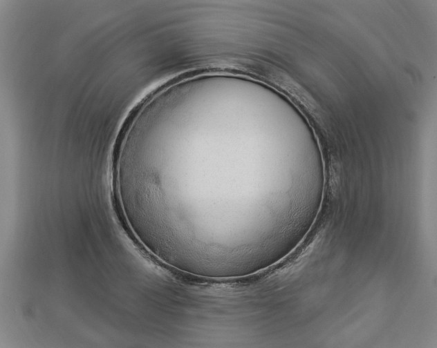 X0000112861028200908281559