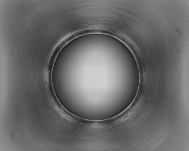 X0000112861029200908281559