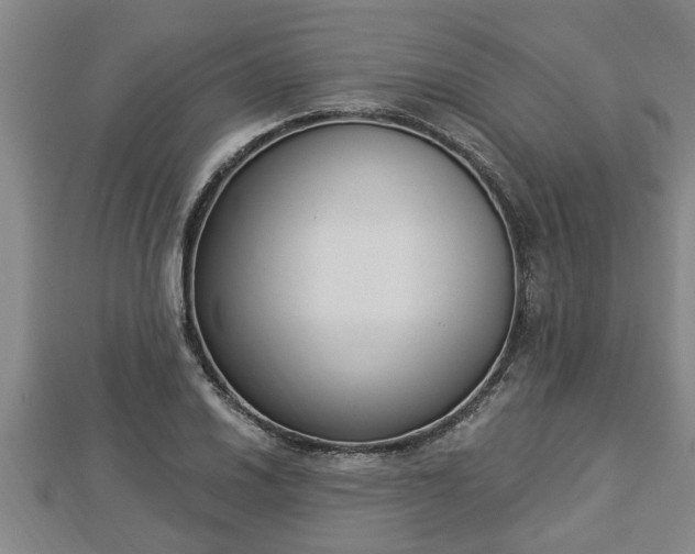 X0000112861030200908281559