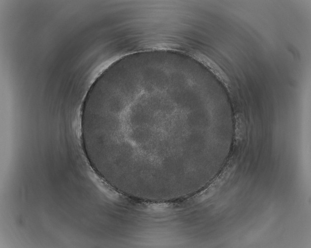 X0000112861031200908281559