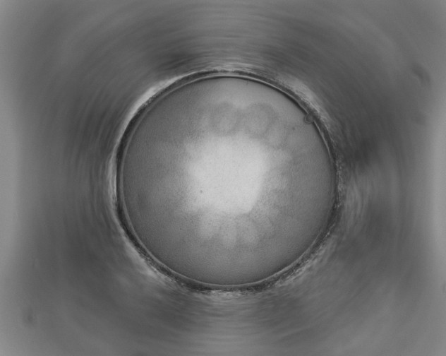 X0000112861032200908281559