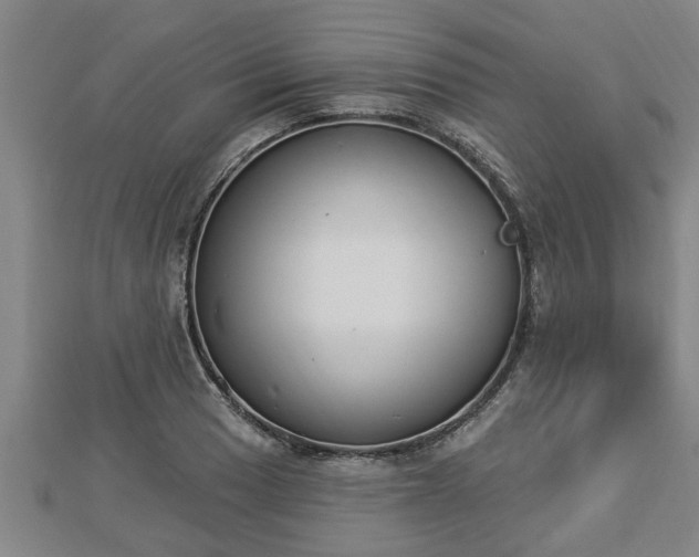 X0000112861033200908281559