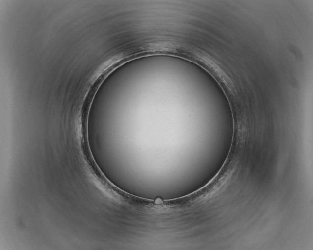 X0000112861034200908281559