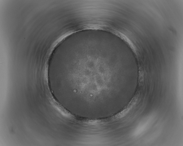 X0000112861035200908281559