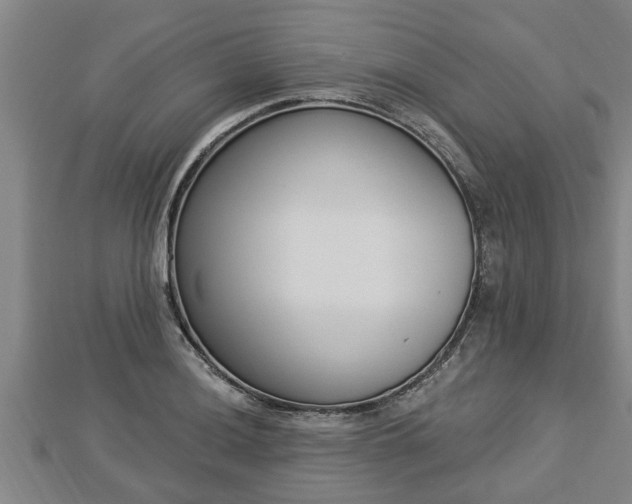 X0000112861036200908281559
