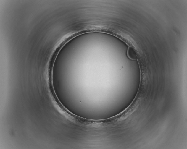 X0000112861038200908281559