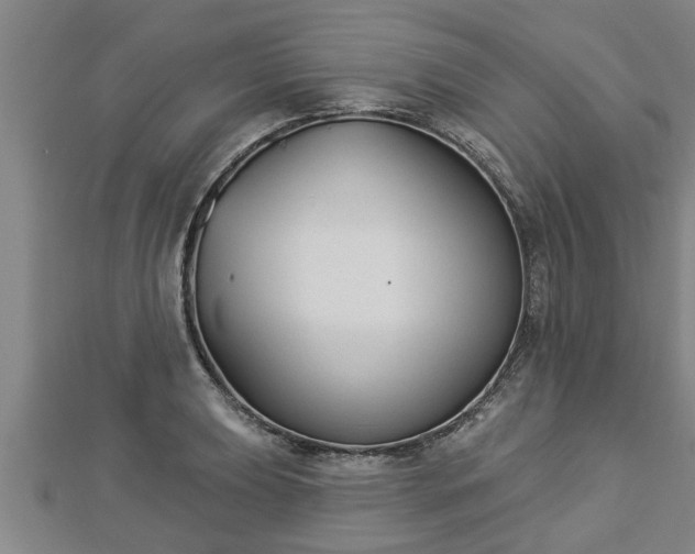 X0000112861039200908281559