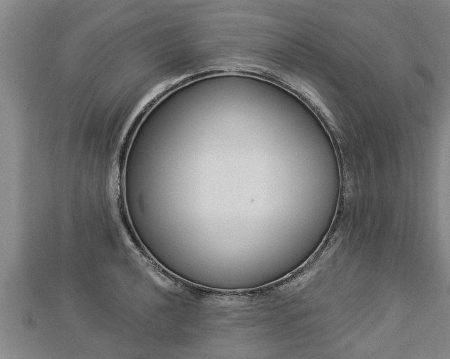 X0000112861040200908281559