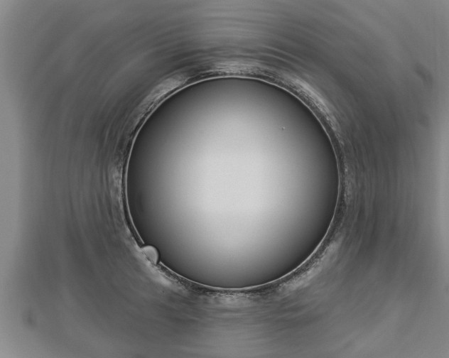 X0000112861041200908281559