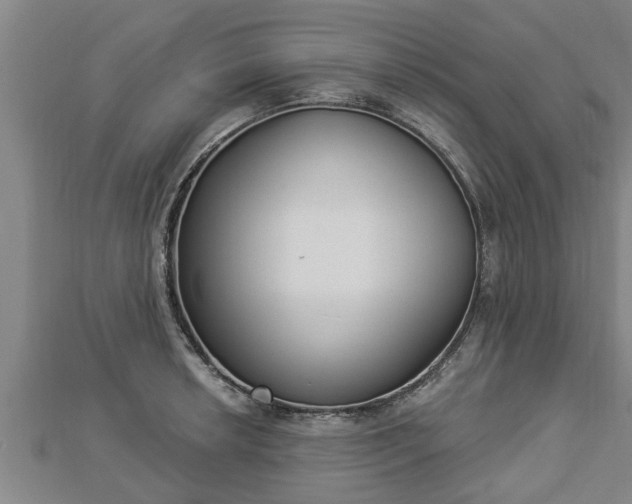 X0000112861042200908281559