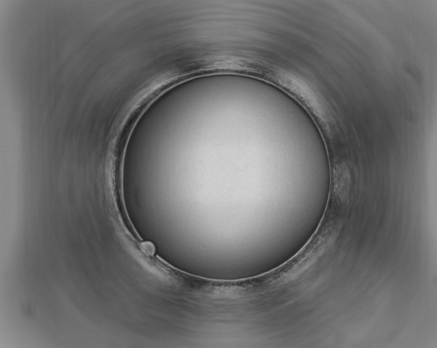 X0000112861043200908281559