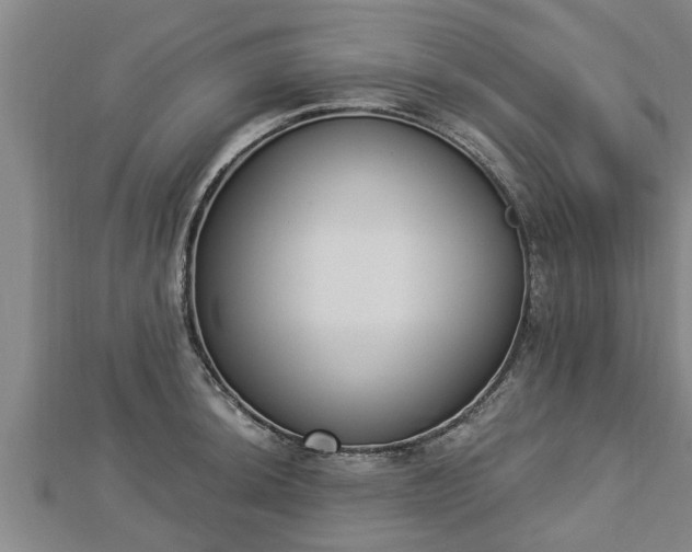X0000112861044200908281559