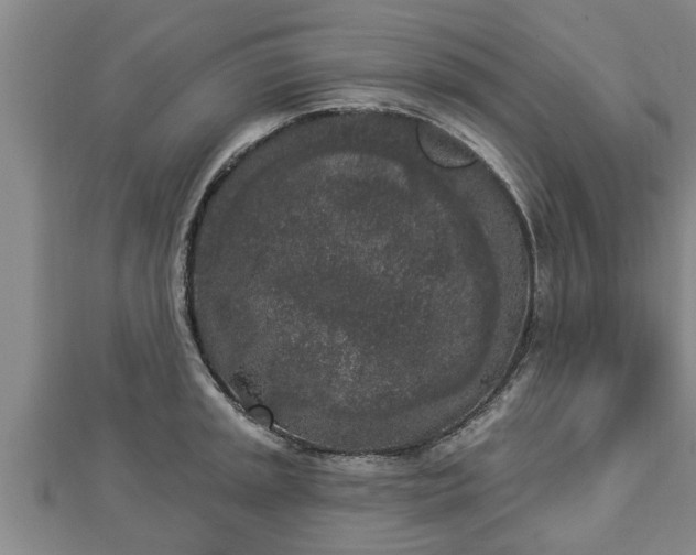 X0000112861045200908281559