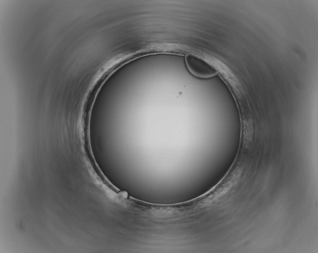 X0000112861046200908281559