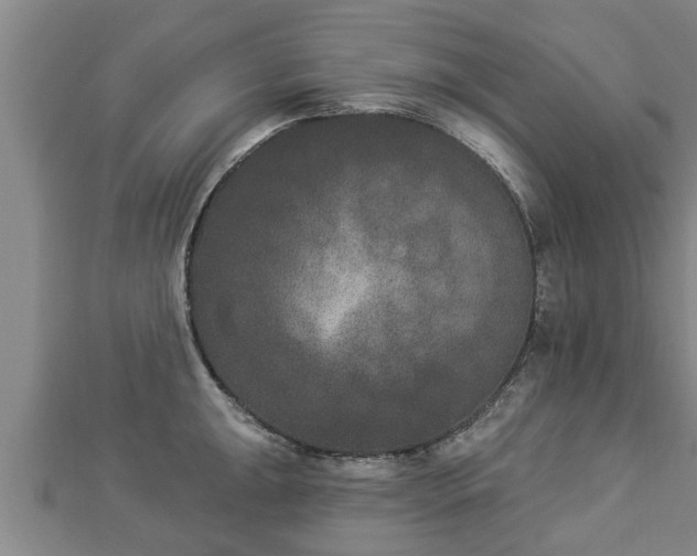 X0000112861047200908281559