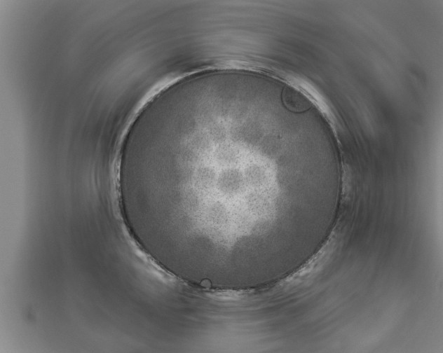 X0000112861048200908281559