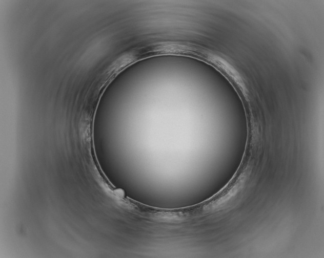 X0000112861049200908281559