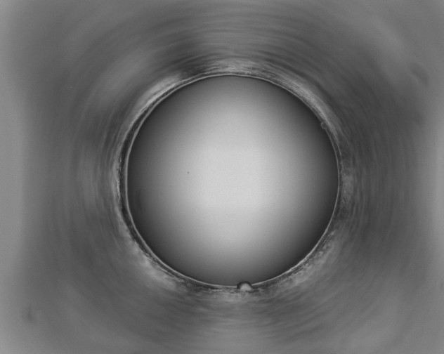 X0000112861050200908281559