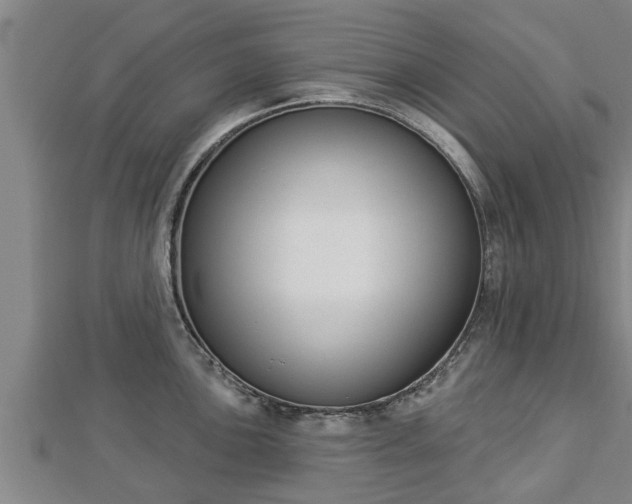 X0000112861051200908281559