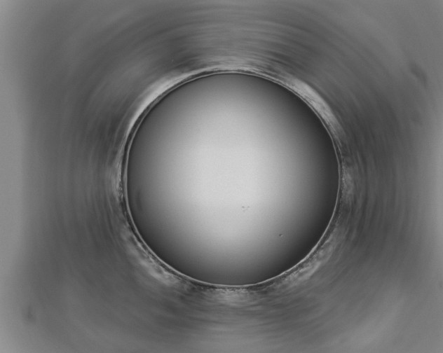 X0000112861052200908281559