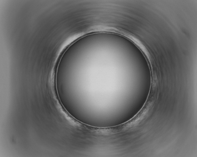 X0000112861053200908281559