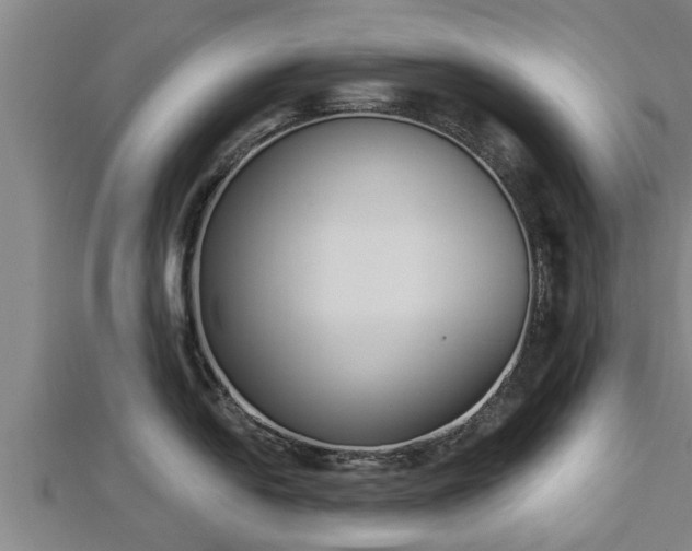 X0000112861054200908281559