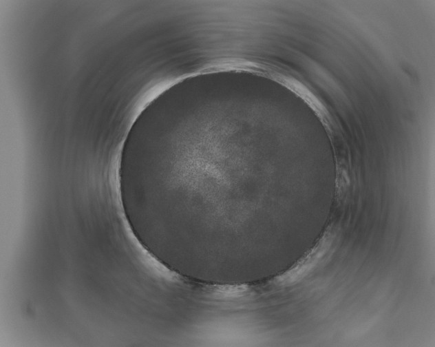X0000112861055200908281559
