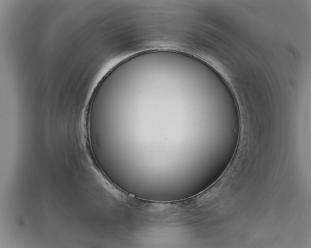 X0000112861056200908281559
