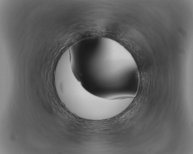 X0000112861057200908281559