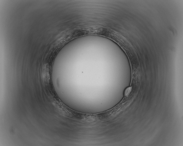 X0000112861058200908281559
