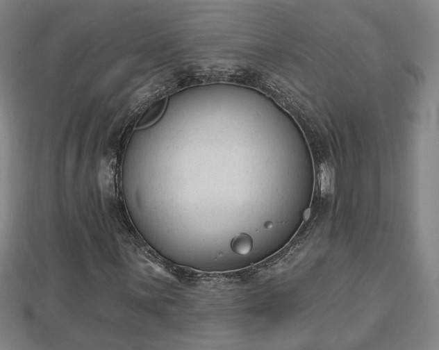 X0000112861059200908281559