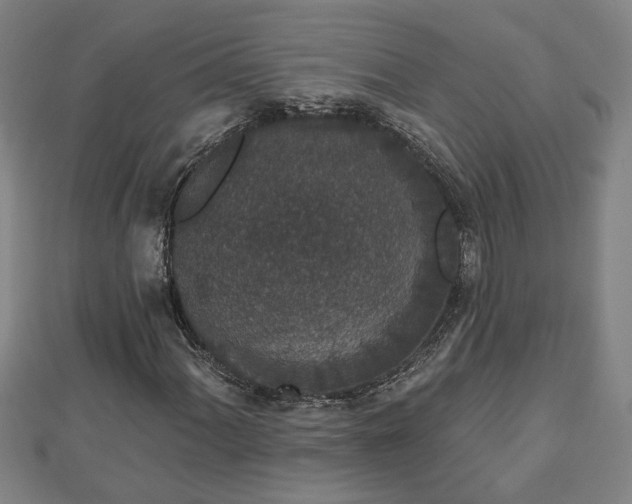 X0000112861060200908281559