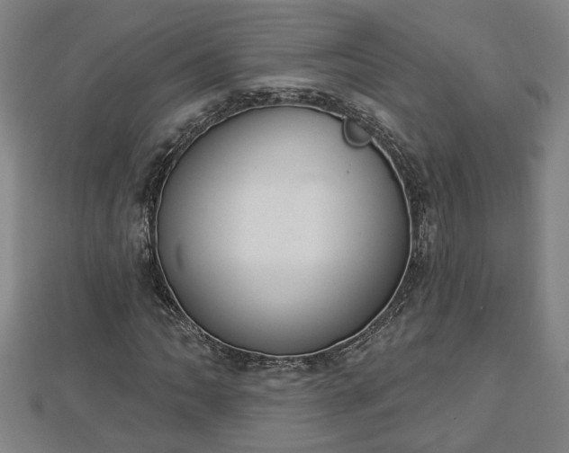 X0000112861062200908281559