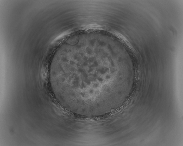 X0000112861063200908281559