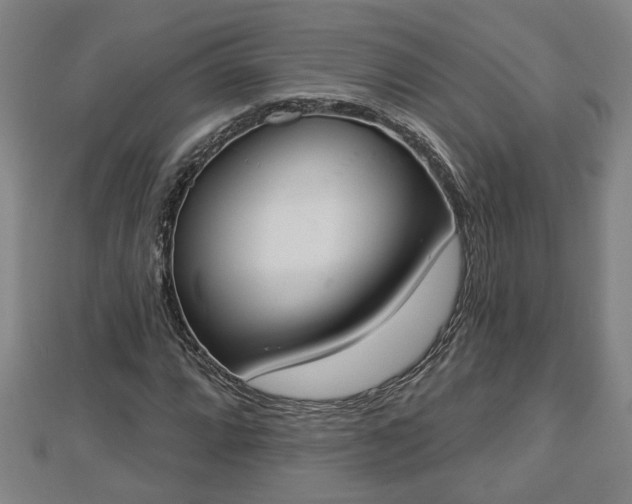 X0000112861064200908281559