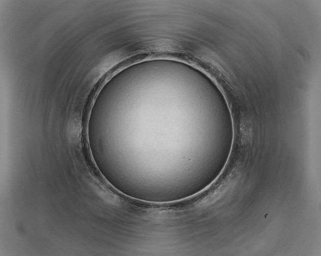 X0000112861065200908281559