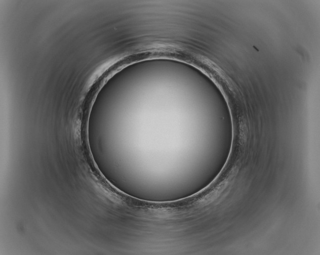 X0000112861066200908281559
