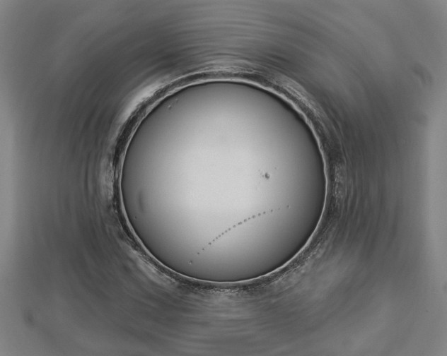 X0000112861067200908281559