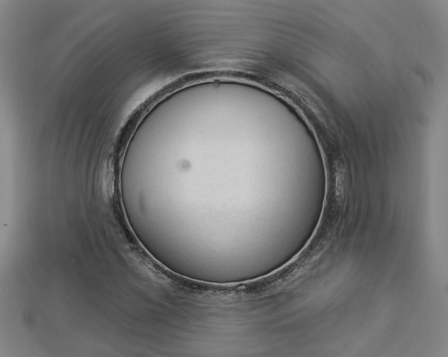 X0000112861069200908281559