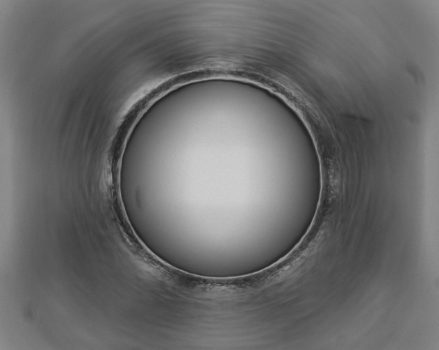 X0000112861070200908281559