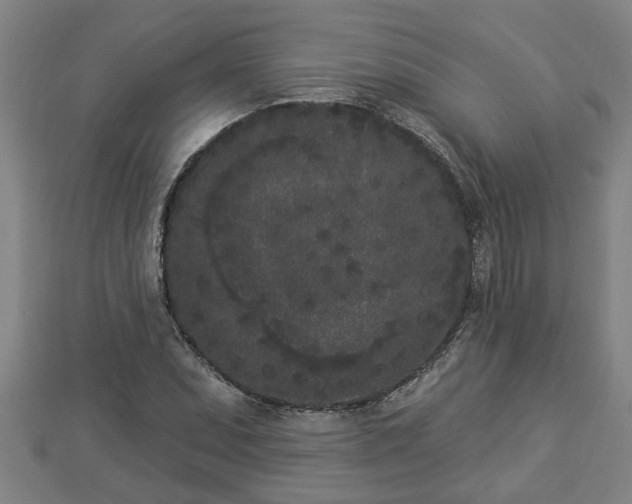 X0000112861071200908281559