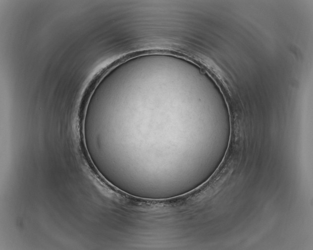 X0000112861072200908281559