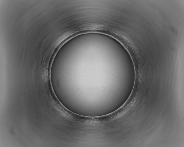 X0000112861073200908281559