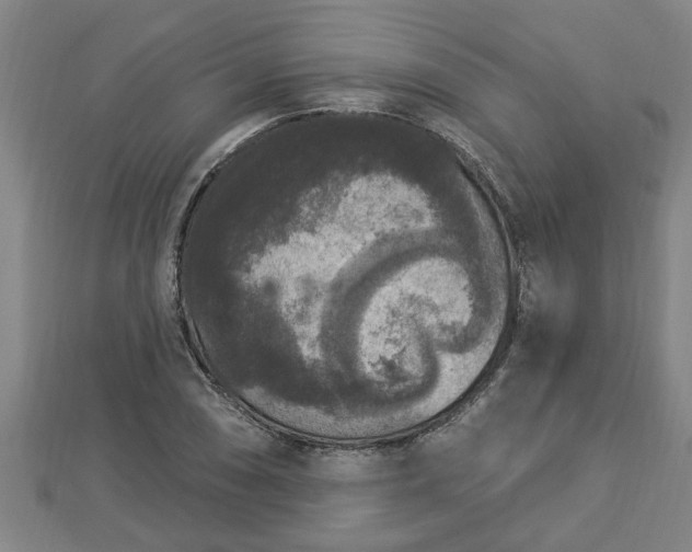 X0000112861074200908281559