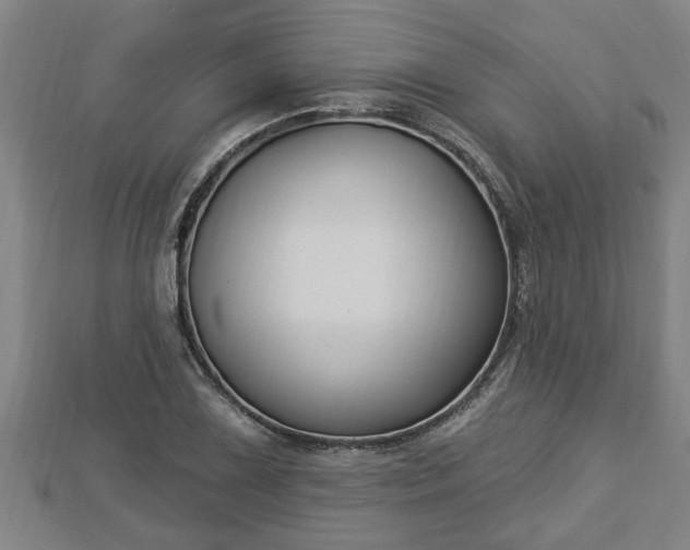 X0000112861075200908281559